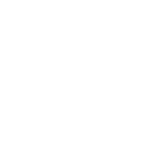 logo vw Copy